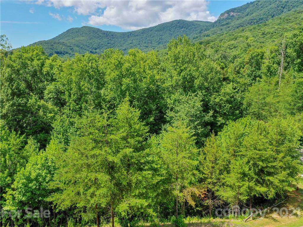 LOT 97 Deep Gap Farm Road - Photo 1
