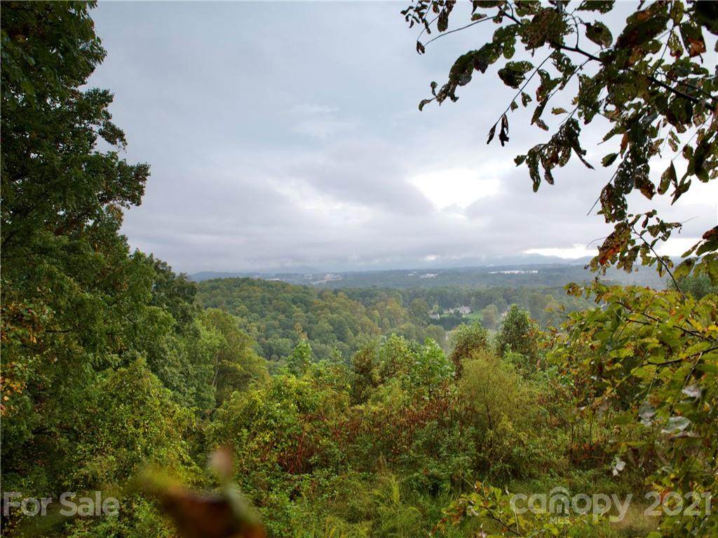 48 Ridge Pine Trail - Photo 1