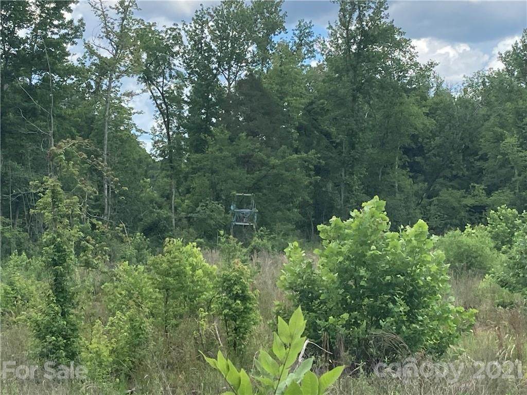 5 Acres Quail Hollow Circle - Photo 1