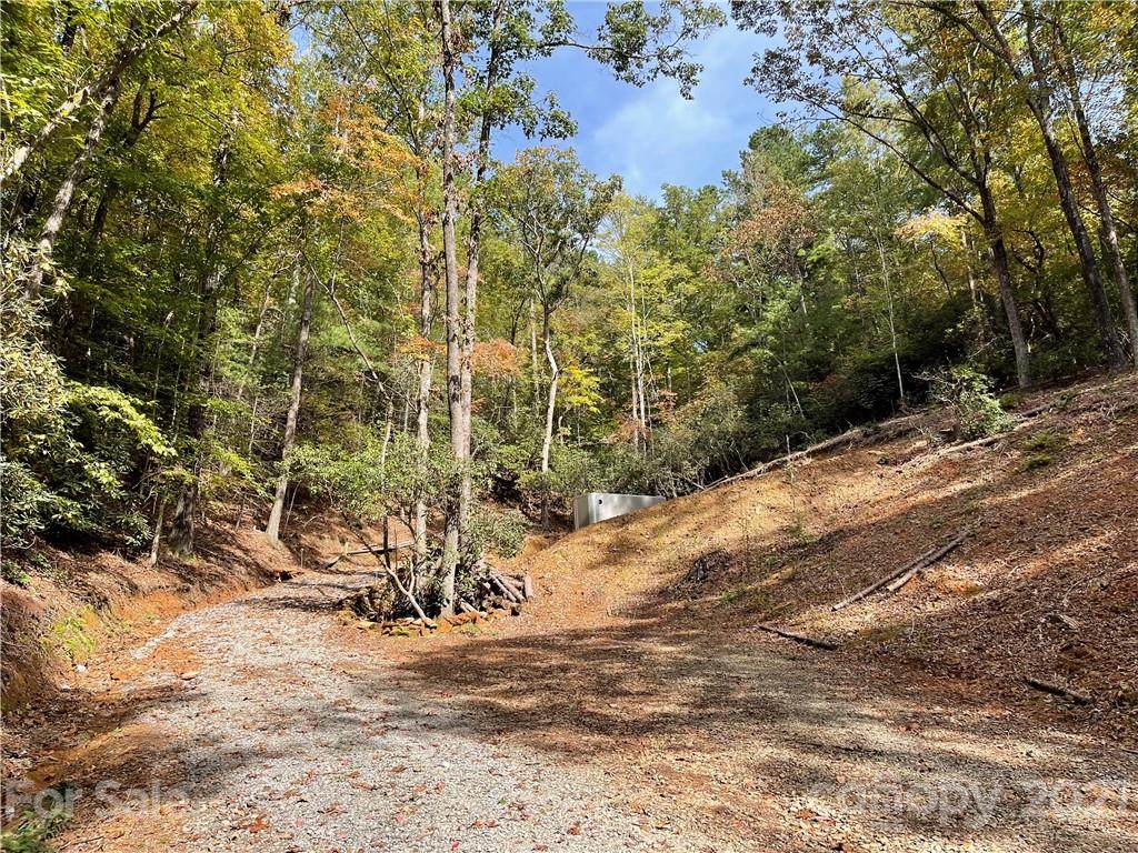 Lot 1 Enon Mountain Road - Photo 1