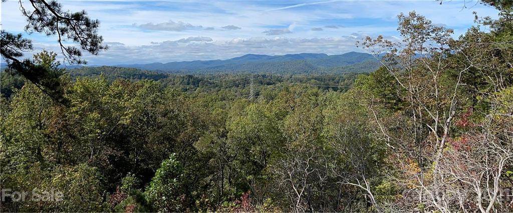 Lot 2 Enon Mountain Road - Photo 1