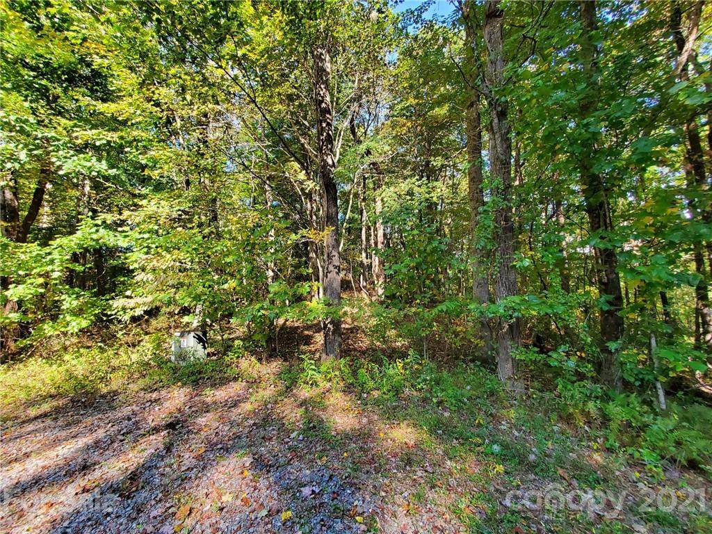 TBD Eastatoe Gap Road - Photo 1