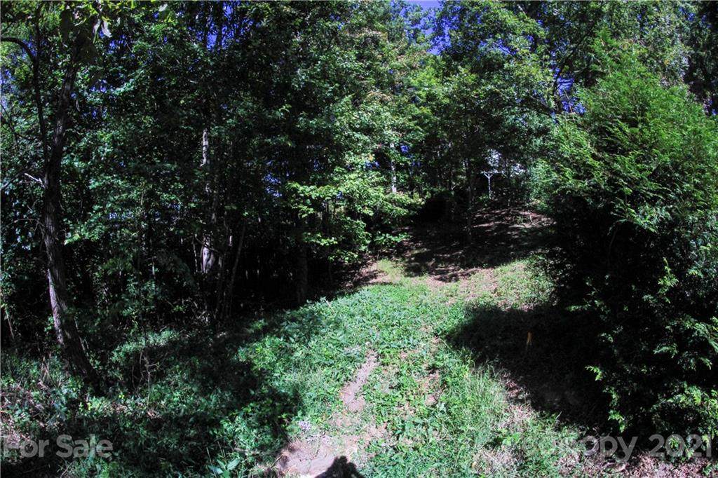 25 Fire Azalea Lane - Photo 1