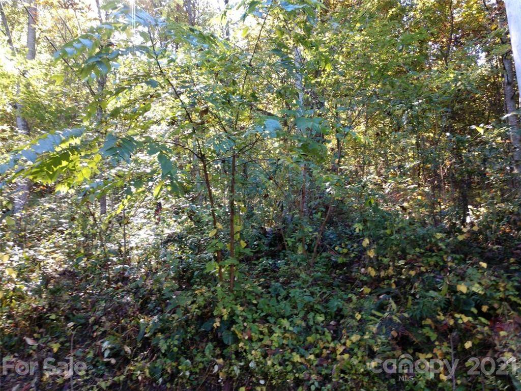 00 Appaloosa Trail - Photo 1