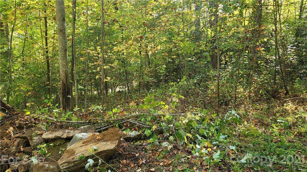 Lot 1 Carpenter Branch Road - Photo 1