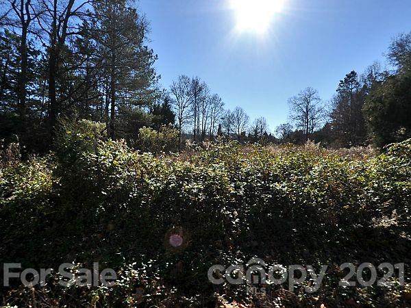5009 Camp Stewart Road - Photo 1