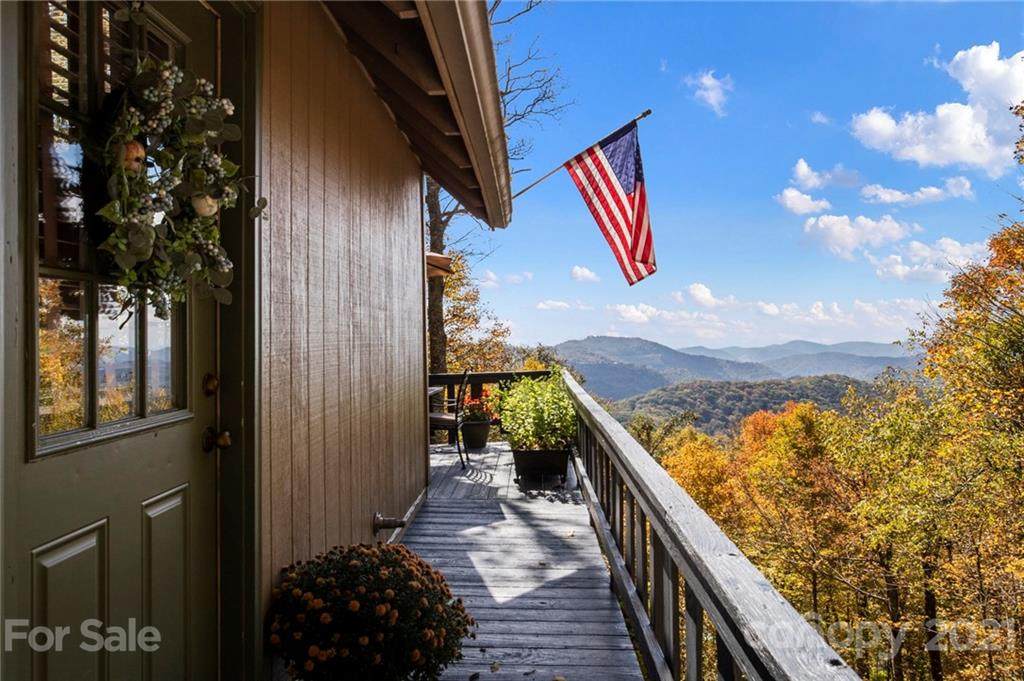 223 Pisgah Pass - Photo 1