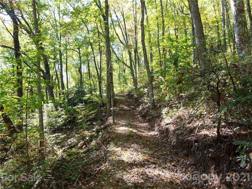 0 Chestnut Forest Road - Photo 1