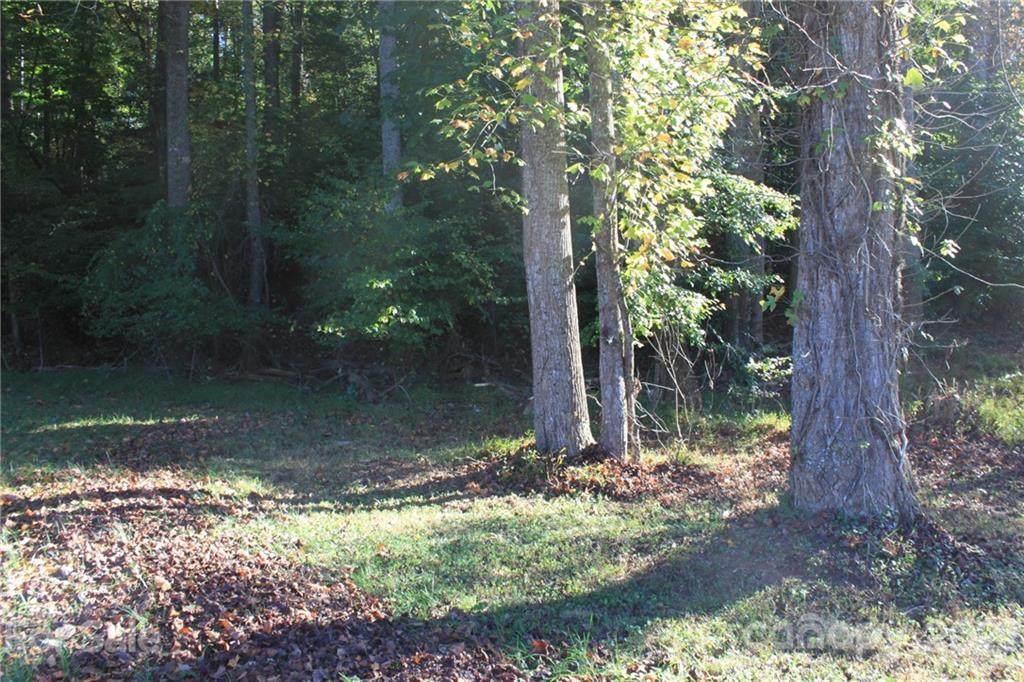TBD-Lot 4 Country Club Road - Photo 1
