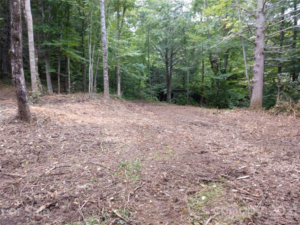 00 Tumbling Falls Drive - Photo 1