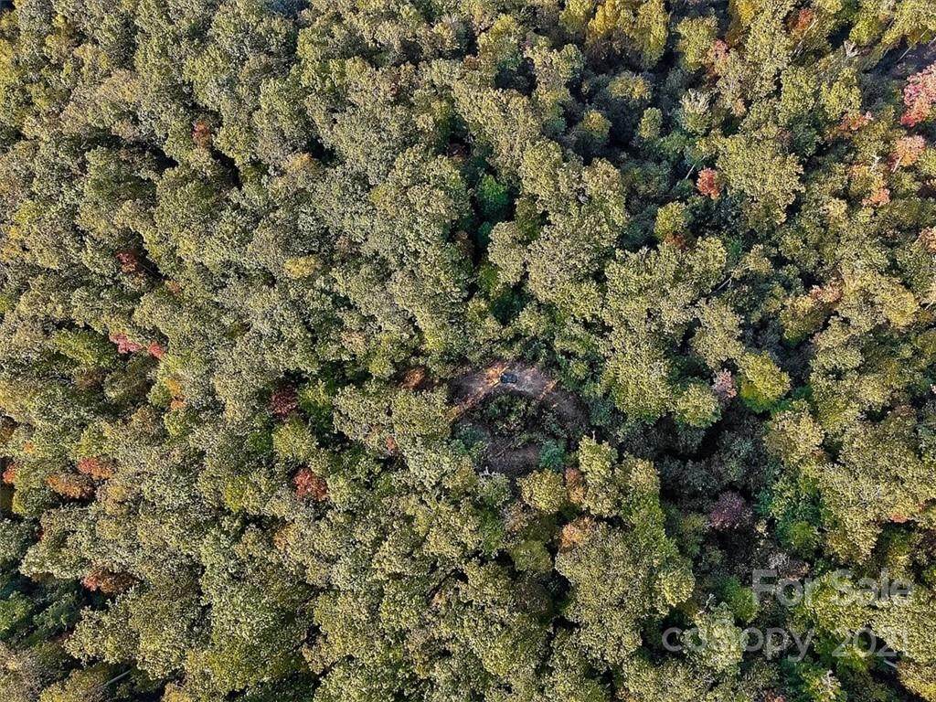 9999 Newman Cove Road - Photo 1