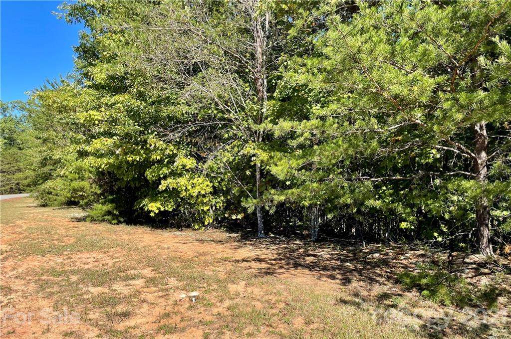 Lot 44 Laurel Lakes Parkway - Photo 1