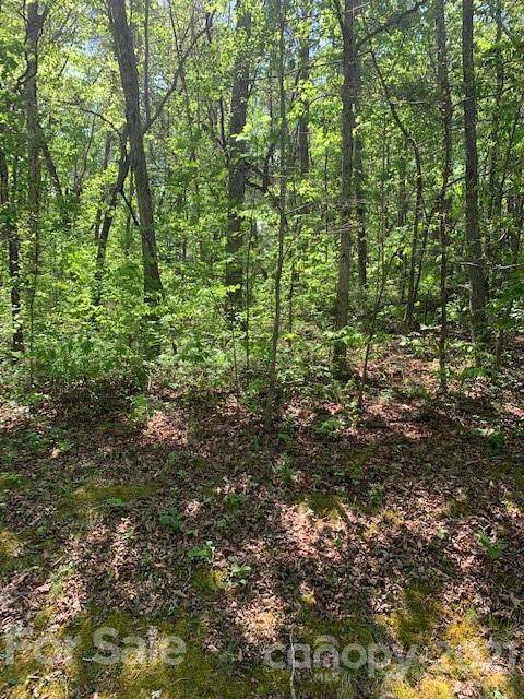0000 Moss Drive - Photo 1