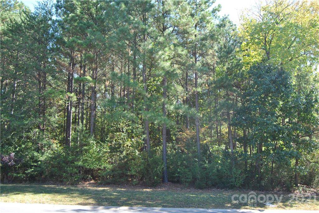 3012 Ashwood Park Drive - Photo 1