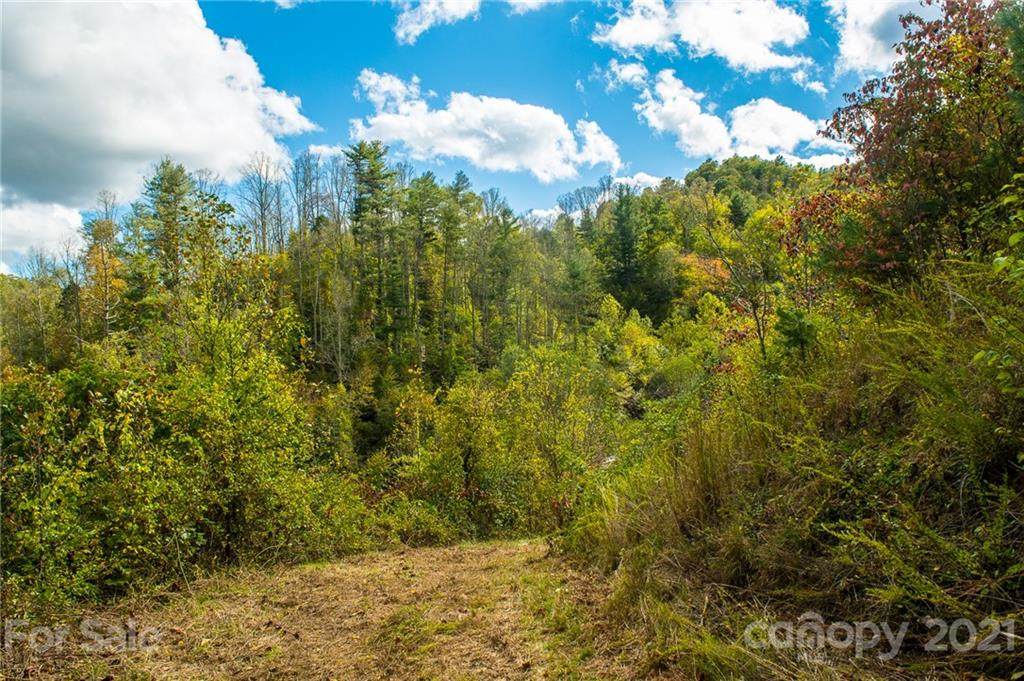 000 Jim Hensley Road - Photo 1