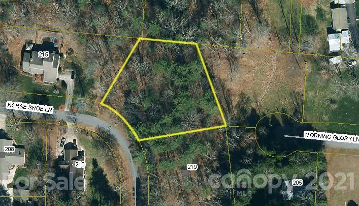0 Horse Shoe Lane - Photo 1