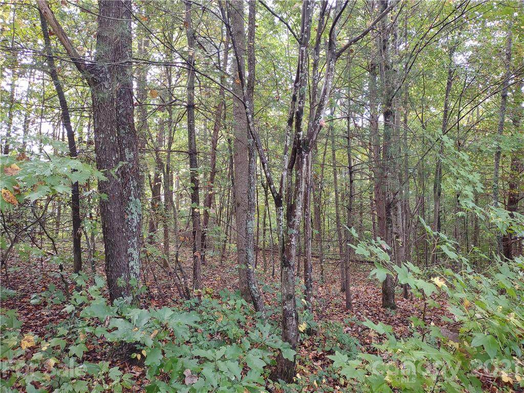112 Collingwood Drive - Photo 1