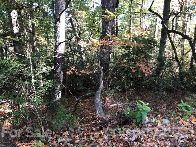 0 Swiss Pine Lake Drive - Photo 1
