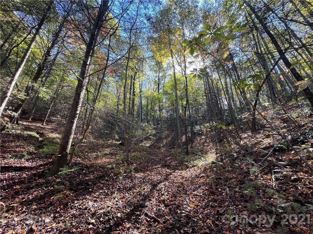 000 Henry Mccall Road - Photo 1