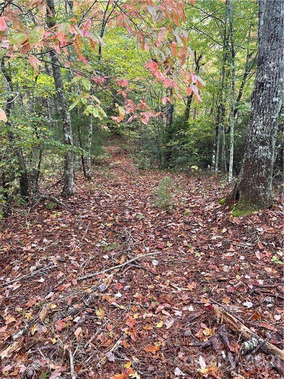 00 South Fork Road - Photo 1