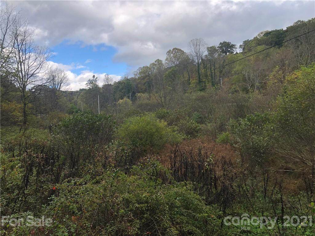 0000 Newfound Road - Photo 1