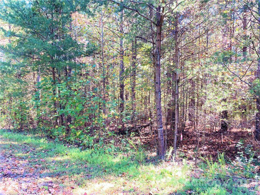 Lot #230 Bitteroot Circle - Photo 1