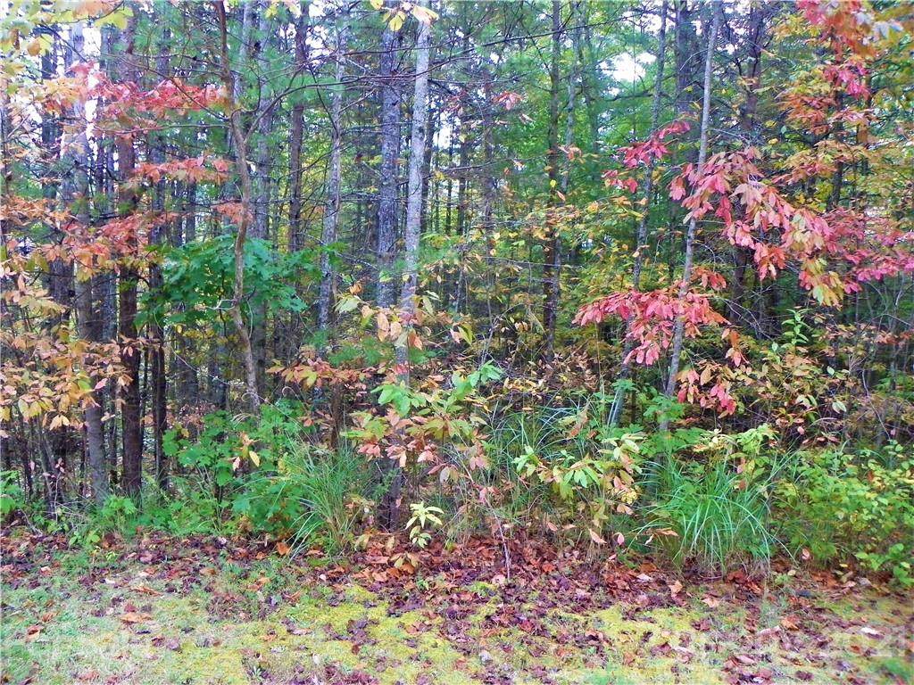 0 Brancer Drive - Photo 1