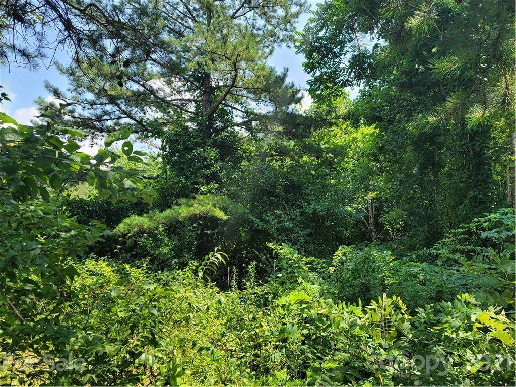 39 Logan Lane - Photo 1