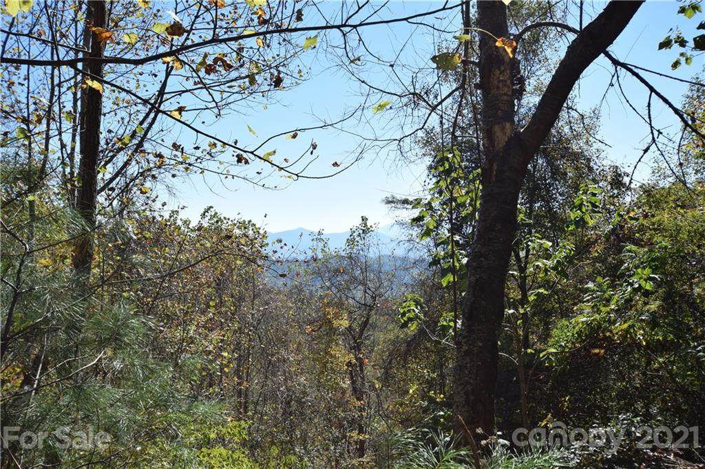 0 Pate Creek - Photo 1