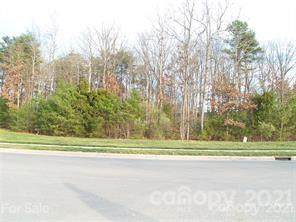Lot 32 Stinson Hartis Road - Photo 1