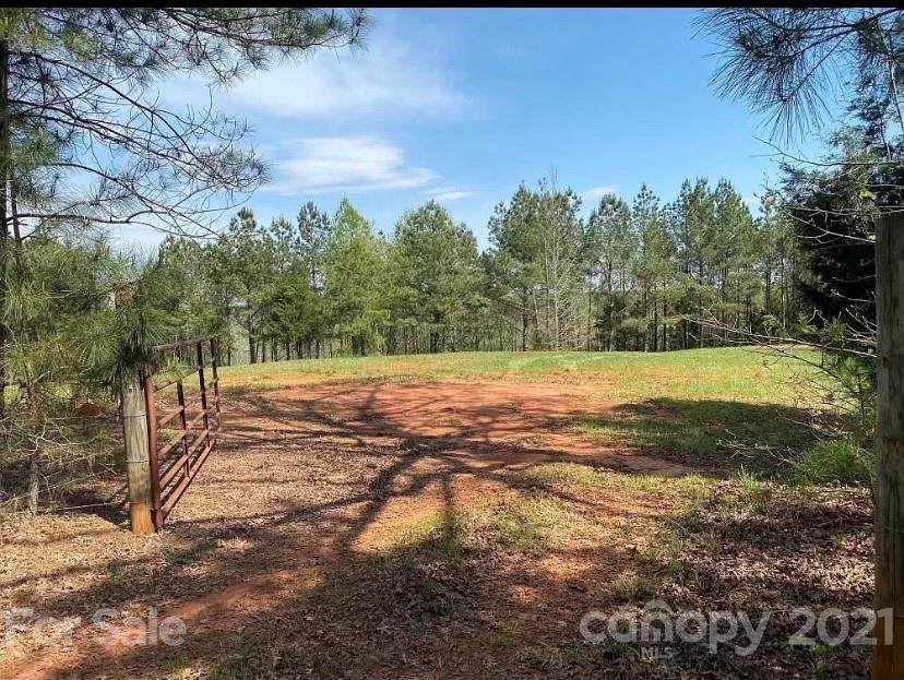 1585 Old Pinckney Road - Photo 1