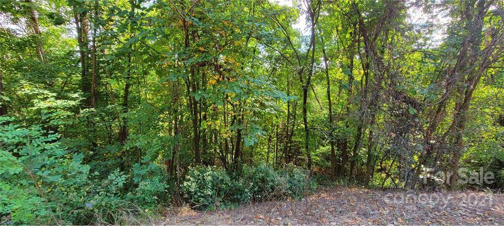 00 Bear Cliff Way - Photo 1