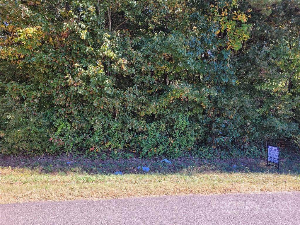 Lot 23 Third Creek Road - Photo 1