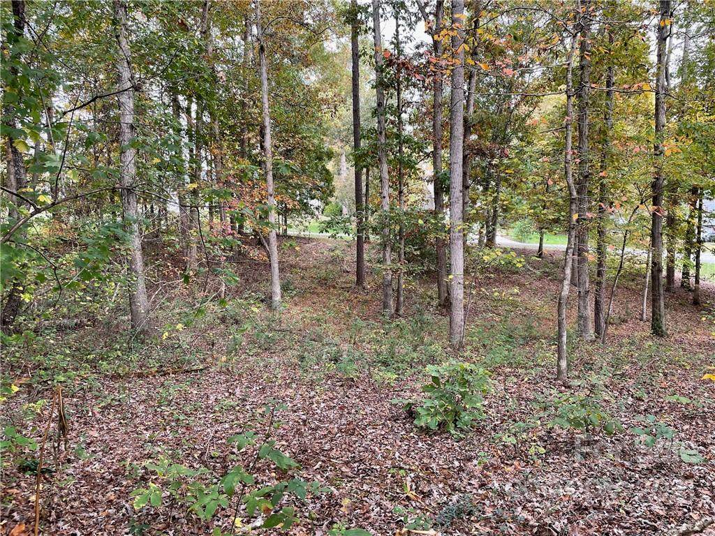 47 Arbor Springs Drive - Photo 1