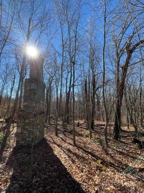 000 Sugar Mountain Road - Photo 1