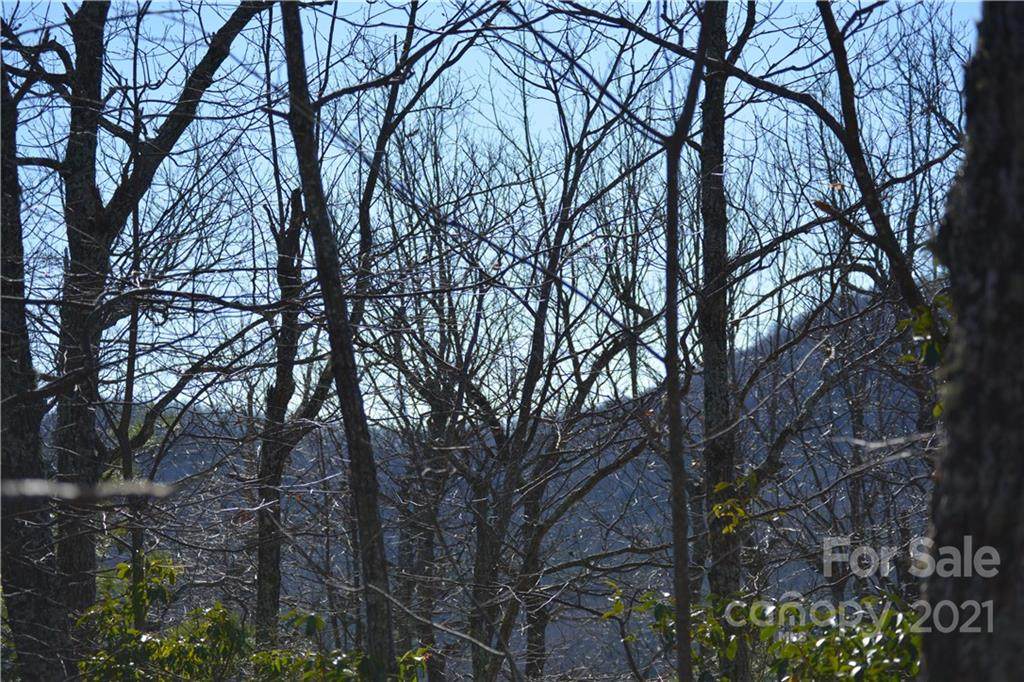 99999 Miller Cove Road - Photo 1