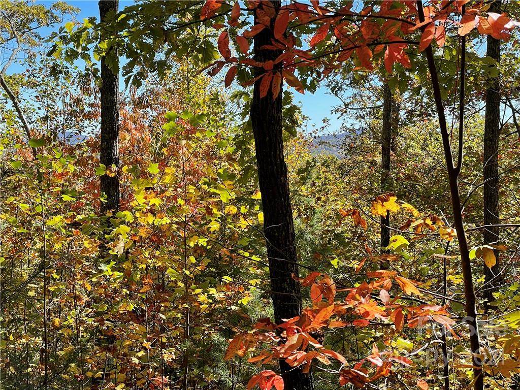 00 Pinnacle Mountain Road - Photo 1