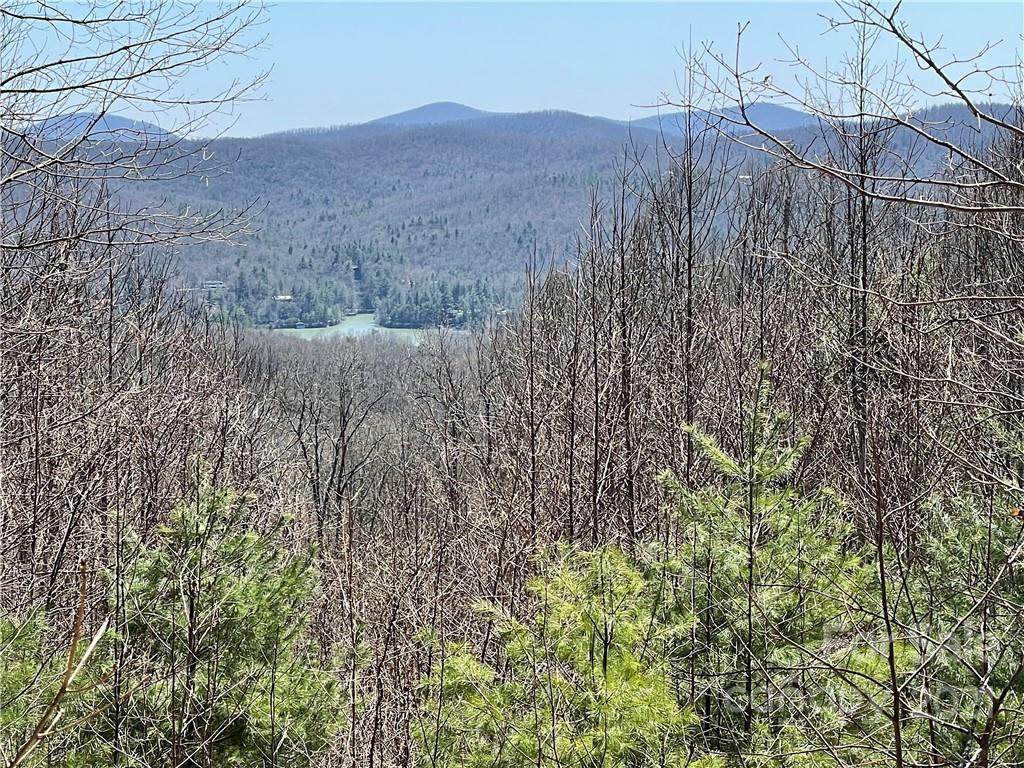00 Pinnacle Mountain Road - Photo 1