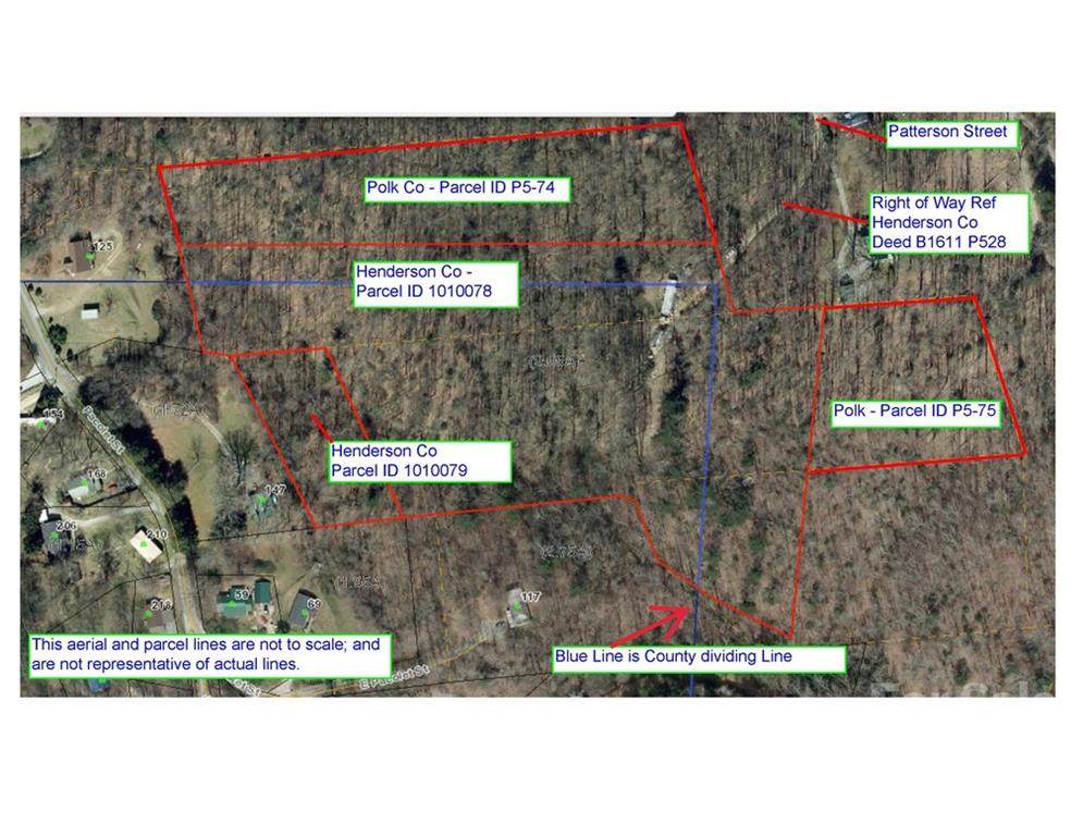 171 Acres Greenville Street - Photo 1