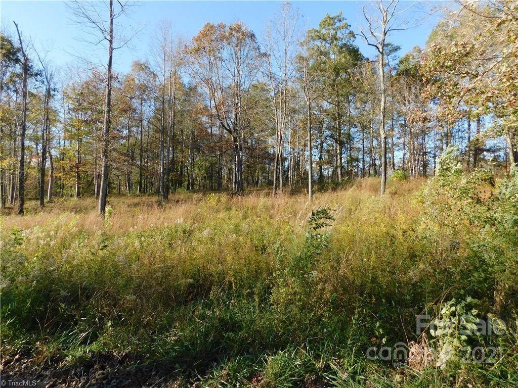 Lot #10 Pheasant Trail - Photo 1
