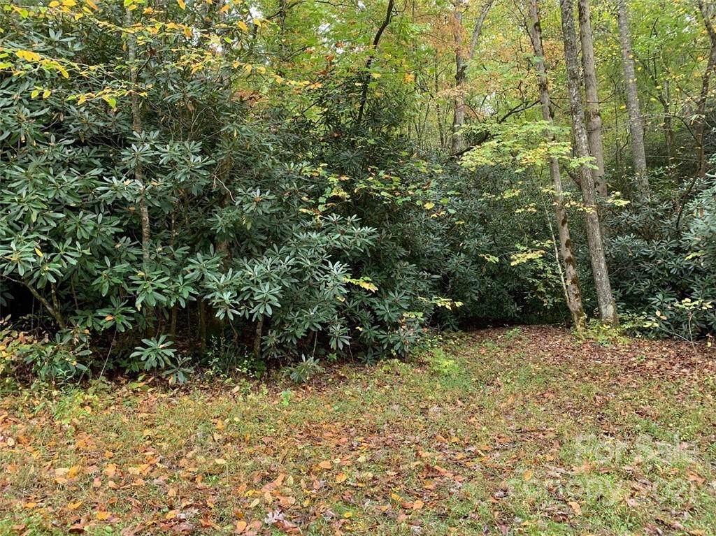 TBD Rhododendron Circle - Photo 1