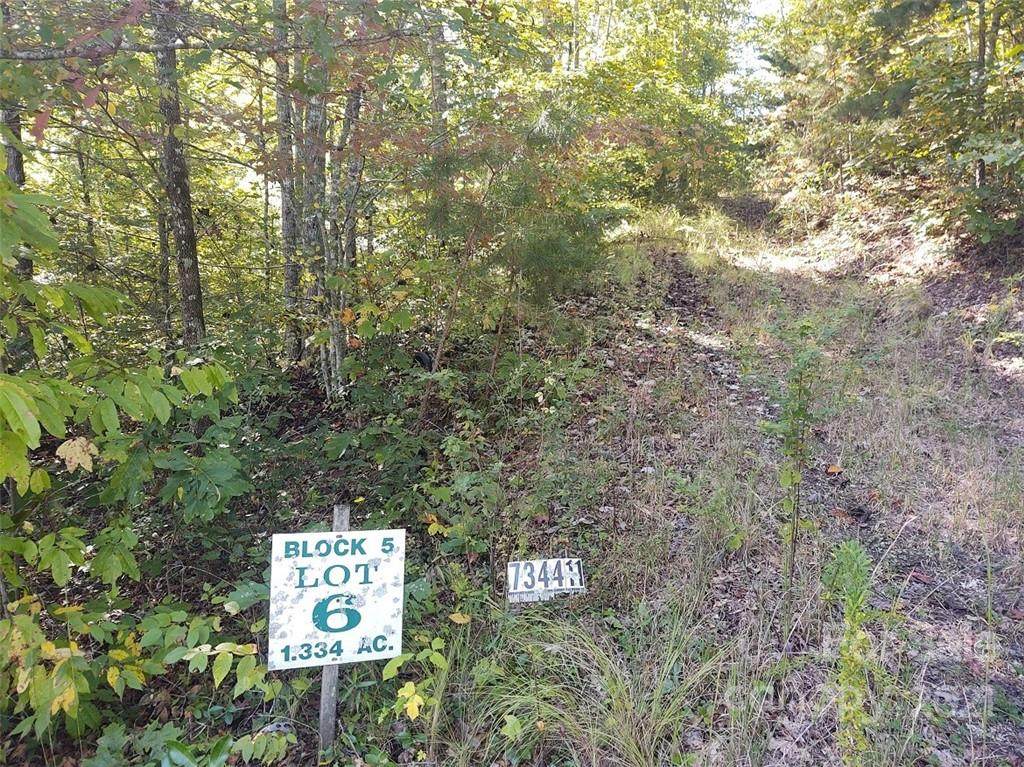 TBD Mallard Cove - Photo 1