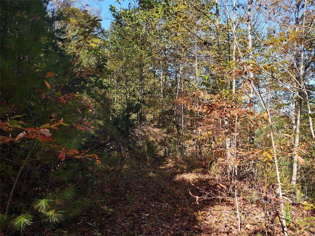 TBD Brooks Lane - Photo 1