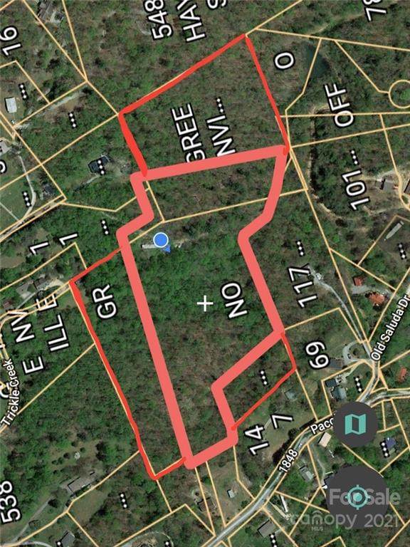 171 Acres Greenville Street - Photo 1