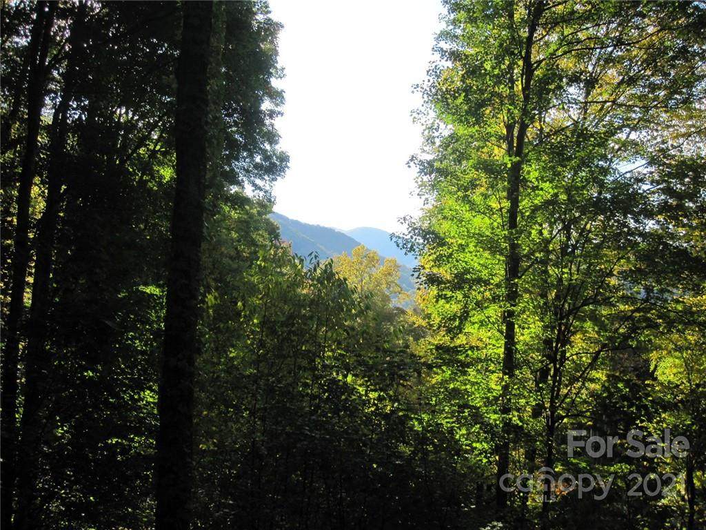 9 Katua Trail - Photo 1