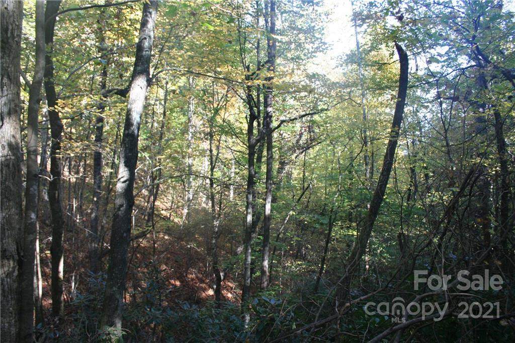 105 Rock Garden Road - Photo 1
