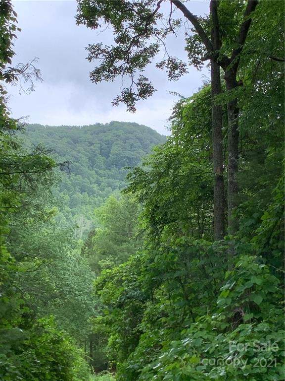 TBD Bear Cove Road - Photo 1