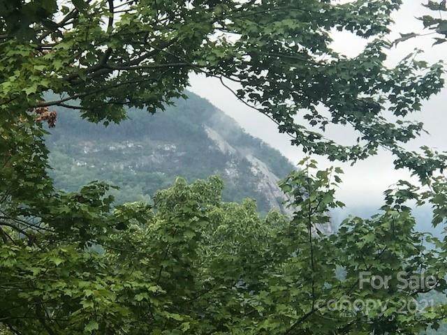 0000 Hawks Nest Trail - Photo 1