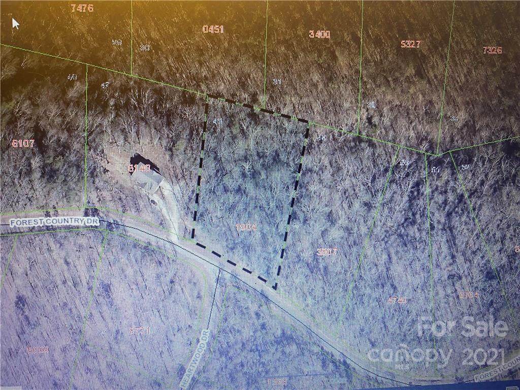 000 Forest Country Drive - Photo 1