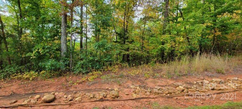 00 Bear Cliff Way - Photo 1